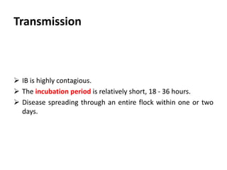 Vertical Transmission
 Vertical transmission (from the hen to their progeny through
the egg) has not been shown to be important.
 However, surface contamination of eggs with the IB virus is a
possible way by which the virus can be spread in hatcheries or
egg packing stations.
 