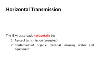 Plan of talk
 Introduction
 Etiology
 Transmission
 Economic importance
 Pathogenesis
 Clinical signs
 Post mortem lesions
 Diagnosis
 