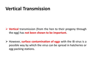 Broilers
1. Poor food conversion rate.
2. Reduced weight gain.
3. Predisposing factor for secondary infections.
 