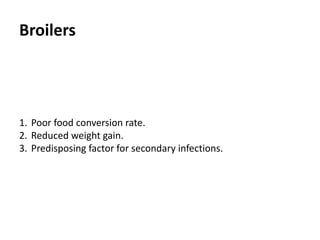 Breeders
The hatchability rate may also
be negatively affected.
 
