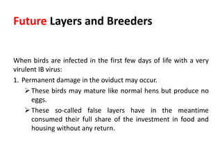 Plan of talk
 Introduction
 Etiology
 Transmission
 Economic importance
 Pathogenesis
 Clinical signs
 Post mortem lesions
 Diagnosis
 