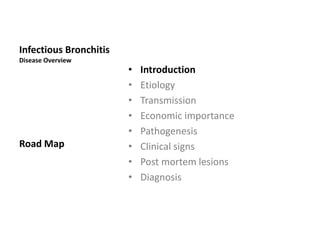 Plan of talk
 Introduction
 Etiology
 Transmission
 Economic importance
 Pathogenesis
 Clinical signs
 Post mortem lesions
 Diagnosis
 