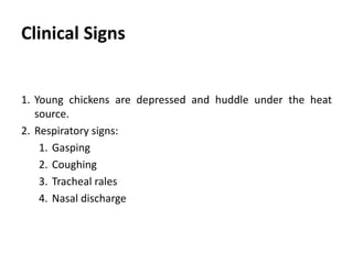 Cont. …
Respiratory
1. Serous, catarrhal, or caseous exudates in the trachea, nasal
passages and sinuses.
2. Cloudy air sacs which may contain yellow caseous exudates.
3. Caseous plug may be found in the trachea.
4. Pneumonia.
 