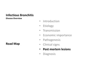 Diagnosis
Clinical signs
Diagnosis of Infectious Bronchitis on the basis of clinical
signs alone is very difficult.
 
