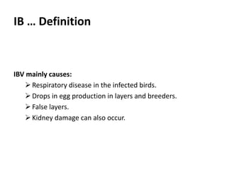 Cont. …
IBV mainly causes:
Respiratory disease in the infected birds.
Drops in egg production in layers and breeders.
False layers.
Kidney damage can also occur.
 
