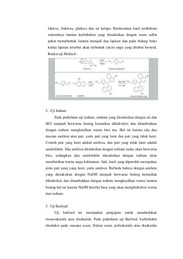 Contoh Laporan Reaksi Identifikasi Karbohidrat - Brottrune