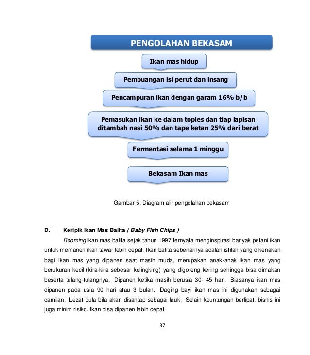 1 ikan  mas 