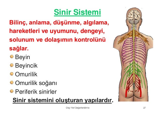 Şehrim hareket etmeyi bıraktığında ücretsiz indir.