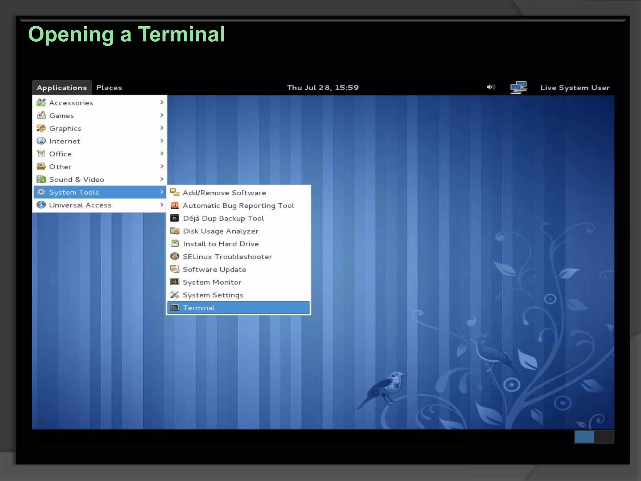 Opening a Terminal
 