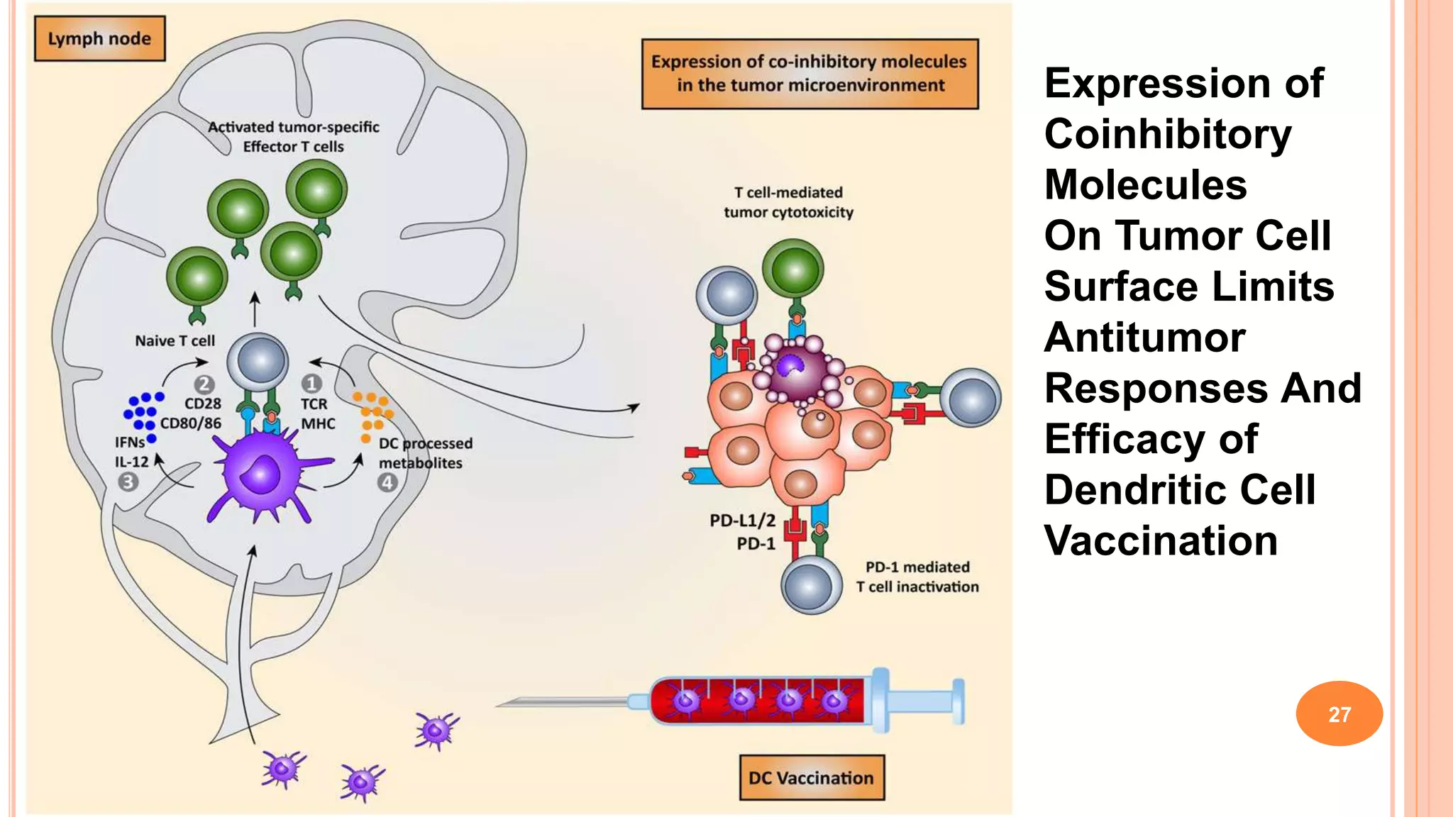 Immune Escape Mechanisms of Cancers and High Grade Glial Tumors | PPTX