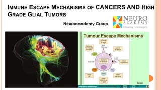 IMMUNE ESCAPE MECHANISMS OF CANCERS AND HIGH
GRADE GLIAL TUMORS
1
 