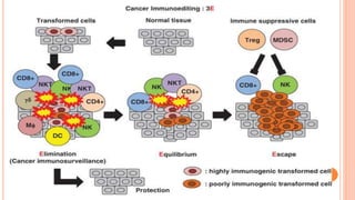 Immune Escape Mechanisms of Cancers and High Grade Glial Tumors | PPTX