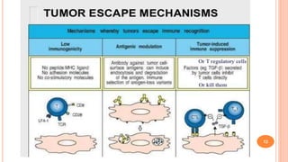 Immune Escape Mechanisms of Cancers and High Grade Glial Tumors | PPTX