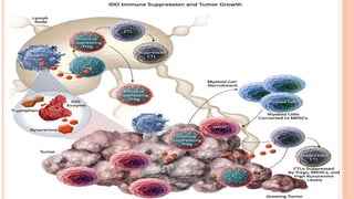 Immune Escape Mechanisms of Cancers and High Grade Glial Tumors | PPTX