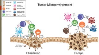 Immune Escape Mechanisms of Cancers and High Grade Glial Tumors | PPTX