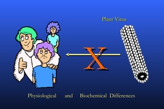 Plant Virus




                       X
Physiological   and   Biochemical Differences
 