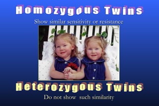 Show similar sensitivity or resistance




    Do not show such similarity
 