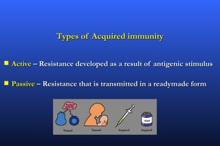 Types of Acquired immunity


s   Active – Resistance developed as a result of antigenic stimulus

s   Passive – Resistance that is transmitted in a readymade form
 