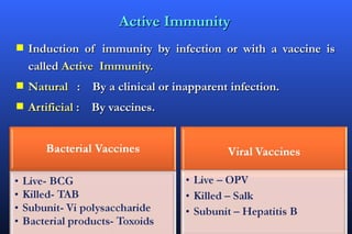 Active Immunity
s   Induction of immunity by infection or with a vaccine is
    called Active Immunity.
s   Natural : By a clinical or inapparent infection.
s   Artificial : By vaccines.
 