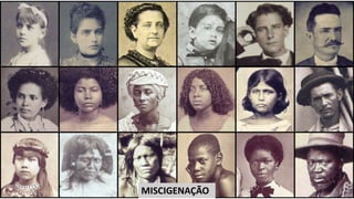 MISCIGENAÇÃO
 