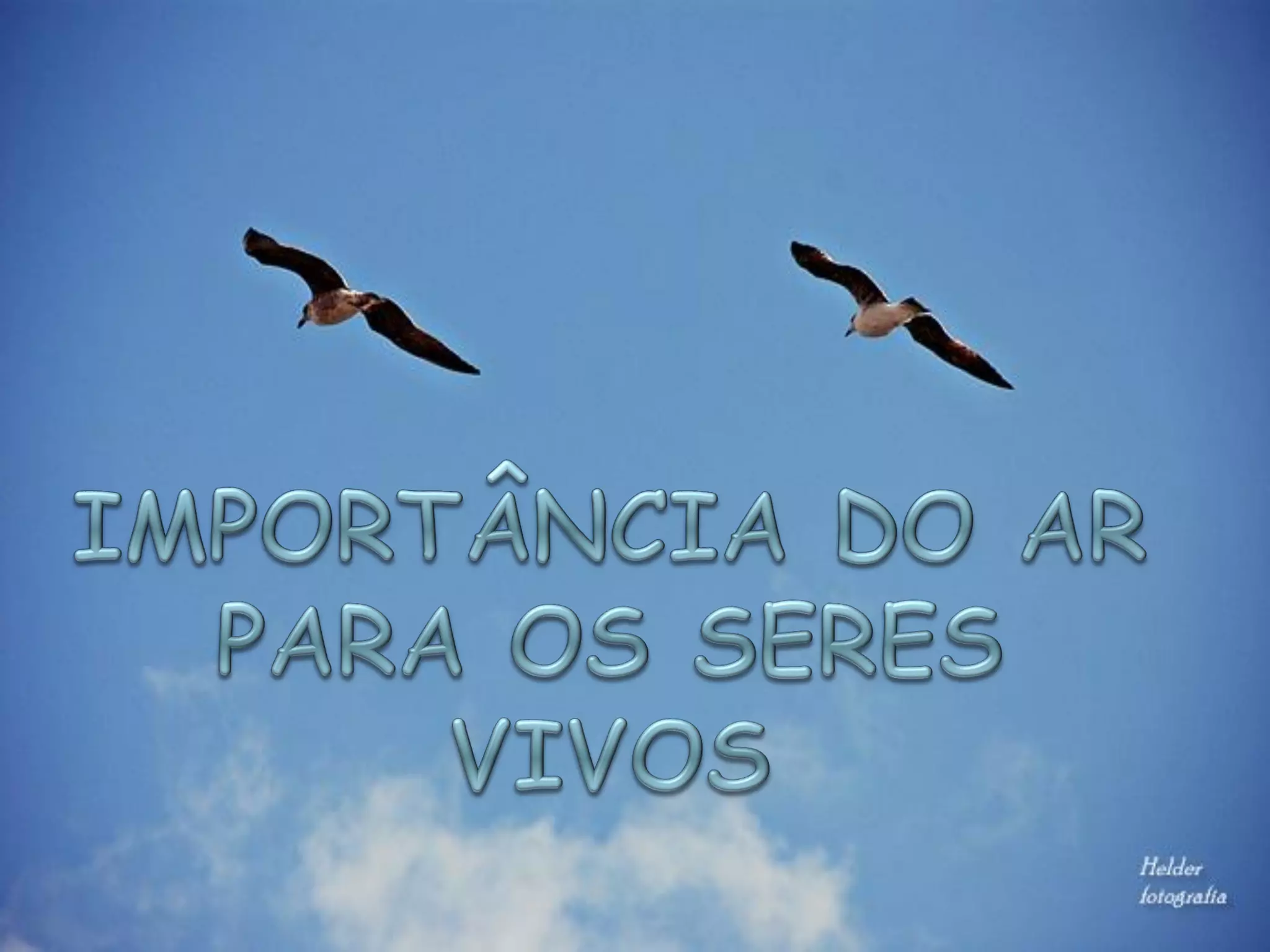 Importância do ar para os seres vivos | PPT