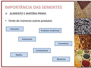 IMPORTÂNCIA DAS SEMENTES
 ALIMENTO E MATÉRIA PRIMA
• Fonte de inúmeros outros produtos
Vestuário
Artesanato
Produtos medicinais
Cosméticos
Combustíveis
Rações
Bijuterias
 