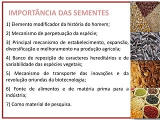 IMPORTÂNCIA DAS SEMENTES
1) Elemento modificador da história do homem;
2) Mecanismo de perpetuação da espécie;
3) Principal mecanismo de estabelecimento, expansão,
diversificação e melhoramento na produção agrícola;
4) Banco de reposição de caracteres hereditários e de
variabilidade das espécies vegetais;
5) Mecanismo de transporte das inovações e da
revolução oriundas da biotecnologia;
6) Fonte de alimentos e de matéria prima para a
indústria;
7) Como material de pesquisa.
 