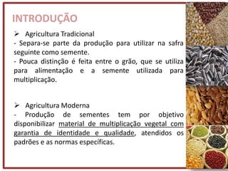 INTRODUÇÃO
 Agricultura Tradicional
- Separa-se parte da produção para utilizar na safra
seguinte como semente.
- Pouca distinção é feita entre o grão, que se utiliza
para alimentação e a semente utilizada para
multiplicação.
 Agricultura Moderna
- Produção de sementes tem por objetivo
disponibilizar material de multiplicação vegetal com
garantia de identidade e qualidade, atendidos os
padrões e as normas específicas.
 