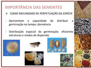 IMPORTÂNCIA DAS SEMENTES
 COMO MECANISMO DE PERPETUAÇÃO DA ESPÉCIE
- Apresentam a capacidade de distribuir a
germinação no tempo: dormência
- Distribuição espacial da germinação: eficientes
estruturas e modos de dispersão
 