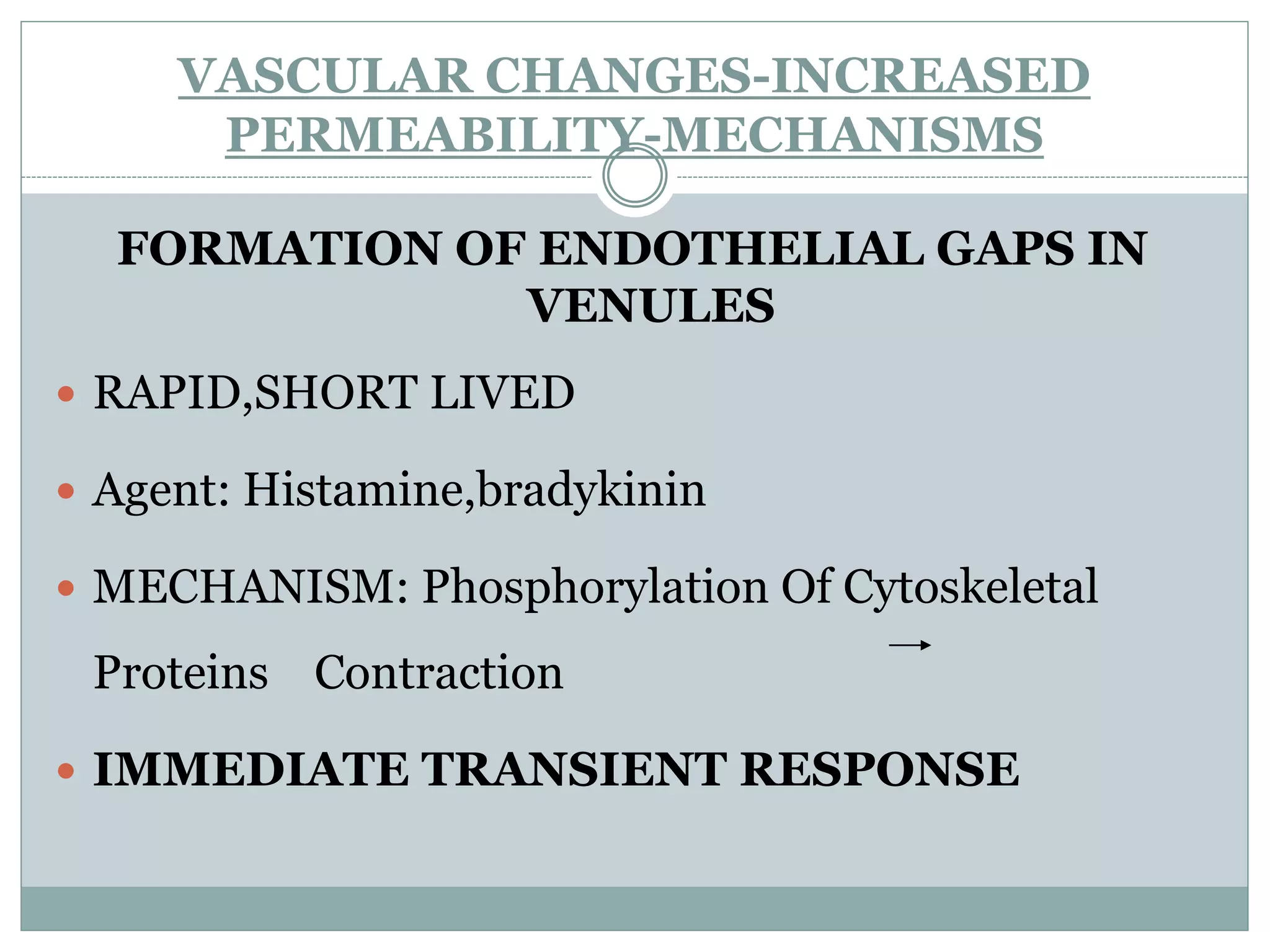 VASCULAR CHANGES-INCREASED
      PERMEABILITY-MECHANISMS

  FORMATION OF ENDOTHELIAL GAPS IN
              VENULES
 RAPID,SHORT LIVED

 Agent: Histamine,bradykinin

 MECHANISM: Phosphorylation Of Cytoskeletal

 Proteins Contraction

 IMMEDIATE TRANSIENT RESPONSE
 