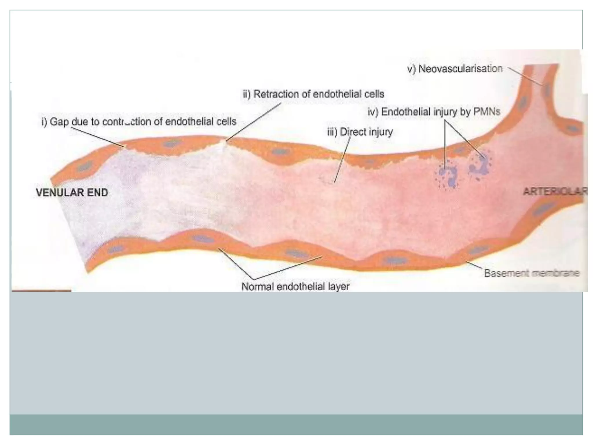 1. inflammation  with vascular events dr ashutosh kumar