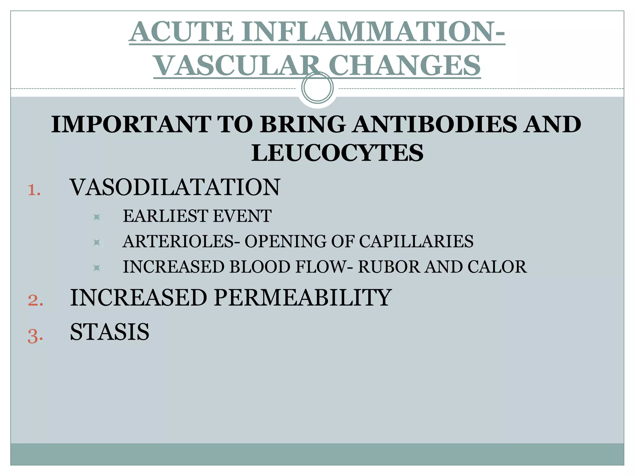 ACUTE INFLAMMATION-
           VASCULAR CHANGES

  IMPORTANT TO BRING ANTIBODIES AND
               LEUCOCYTES
1. VASODILATATION
         EARLIEST EVENT
         ARTERIOLES- OPENING OF CAPILLARIES
         INCREASED BLOOD FLOW- RUBOR AND CALOR
2.   INCREASED PERMEABILITY
3.   STASIS
 