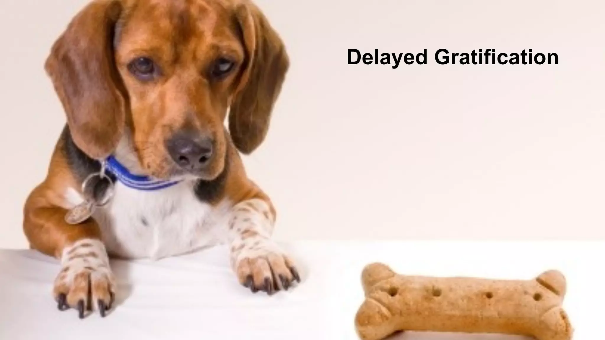 Delayed Gratification
 