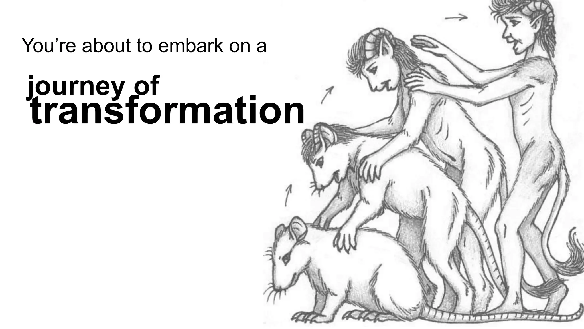 You’re about to embark on a

journey of
transformation
 