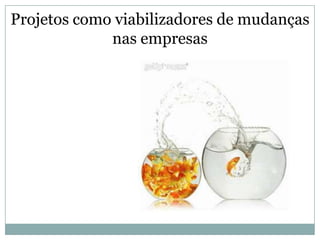 Projetos como viabilizadores de mudanças
             nas empresas
 