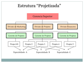 Estrutura “Projetizada”

                                  Gerencia Superior



Divisão de Marketing               Divisão de Projetos               Divisão Financeira



Gerente de Projetos                Gerente de Projetos               Gerente de Projetos



  Project #1          Projeto 2       Projeto 3          Projeto 4          Projeto 5



      Especialidade A                Especialidade B           Especialidade C
 