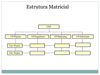 Estrutura Matricial


                                 CEO



VP Projetos      VP Engenharia         VP Marketing   VP Fabricação



Ger. Projeto


Ger. Projeto
 