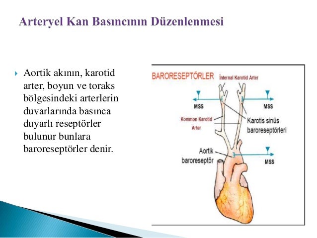 yüksek tansiyon nasıl indirilir ilaç