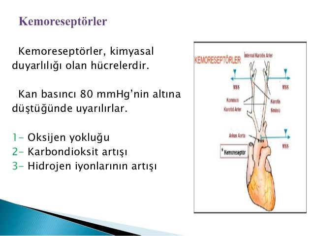 Ve yuksek tansiyon sebepleri