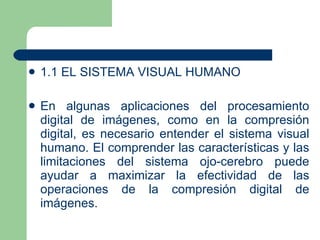 1.1 EL SISTEMA VISUAL HUMANO En algunas aplicaciones del procesamiento digital de imágenes, como en la compresión digital, es necesario entender el sistema visual humano. El comprender las características y las limitaciones del sistema ojo-cerebro puede ayudar a maximizar la efectividad de las operaciones de la compresión digital de imágenes. 