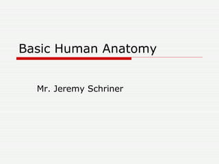 Basic Human Anatomy Mr. Jeremy Schriner 
