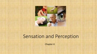 Sensation and Perception
Chapter 4
 
