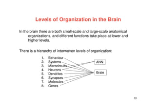 10
Levels of Organization in the Brain
In the brain there are both small-scale and large-scale anatomical
organizations, and different functions take place at lower and
higher levels.
There is a hierarchy of interwoven levels of organization:
1. Behaviour
2. Systems
3. Microcircuits
4. Neurons
5. Dendrites
6. Synapses
7. Molecules
8. Genes
Brain
ANN
 