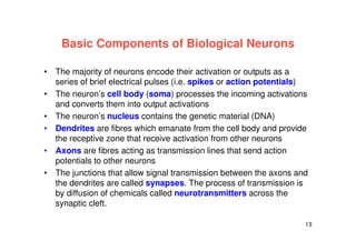13
Basic Components of Biological Neurons
• The majority of neurons encode their activation or outputs as a
series of brief electrical pulses (i.e. spikes or action potentials)
• The neuron’s cell body (soma) processes the incoming activations
and converts them into output activations
• The neuron’s nucleus contains the genetic material (DNA)
• Dendrites are fibres which emanate from the cell body and provide
the receptive zone that receive activation from other neurons
• Axons are fibres acting as transmission lines that send action
potentials to other neurons
• The junctions that allow signal transmission between the axons and
the dendrites are called synapses. The process of transmission is
by diffusion of chemicals called neurotransmitters across the
synaptic cleft.
 