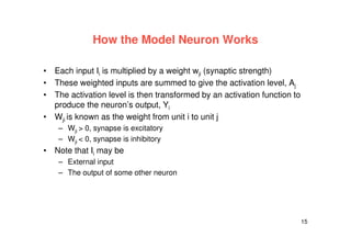 15
How the Model Neuron Works
• Each input Ii is multiplied by a weight wji (synaptic strength)
• These weighted inputs are summed to give the activation level, Aj
• The activation level is then transformed by an activation function to
produce the neuron’s output, Yi
• Wji is known as the weight from unit i to unit j
– Wji > 0, synapse is excitatory
– Wji < 0, synapse is inhibitory
• Note that Ii may be
– External input
– The output of some other neuron
 