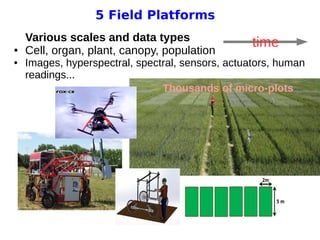 11 avril 2013
Pascal Neveu 11
5 Field Platforms
Various scales and data types
● Cell, organ, plant, canopy, population
● Images, hyperspectral, spectral, sensors, actuators, human
readings...
Thousands of micro-plots
time
 