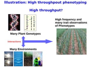 11 avril 2013
Pascal Neveu 8
Illustration: High throughpout phenotyping
High throughput?
Many Environments
Many Plant Genotypes
High frequency and
many trait observations
of Phenotypes
Interactions
 