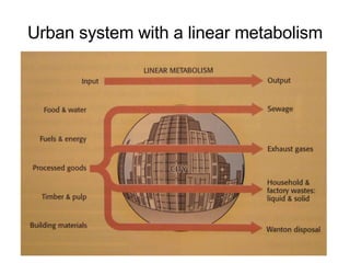 Urban system with a linear metabolism 