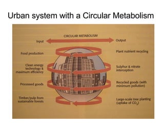 Urban system with a Circular Metabolism   