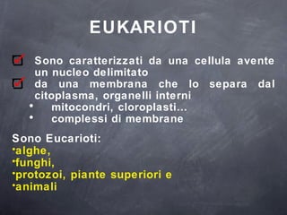 Sono caratterizzati da una cellula avente un nucleo delimitato  da una membrana che lo separa dal citoplasma, organelli interni  mitocondri, cloroplasti… complessi di membrane Sono Eucarioti:  alghe,  funghi, protozoi, piante superiori e  animali EUKARIOTI 